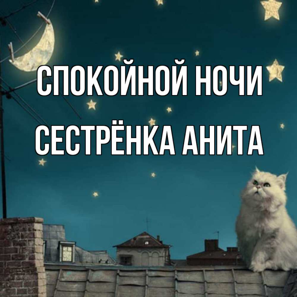Открытка на каждый день с именем, Сестрёнка-Анита Спокойной ночи белый кот сидит на крыше Прикольная открытка с пожеланием онлайн скачать бесплатно 