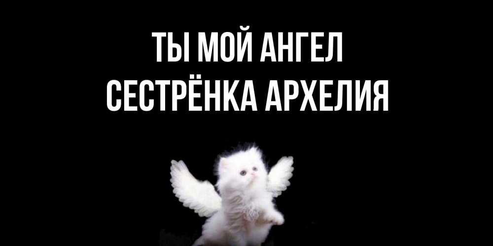 Открытка на каждый день с именем, Сестрёнка-Архелия Ты мой ангел Кот ангел Прикольная открытка с пожеланием онлайн скачать бесплатно 