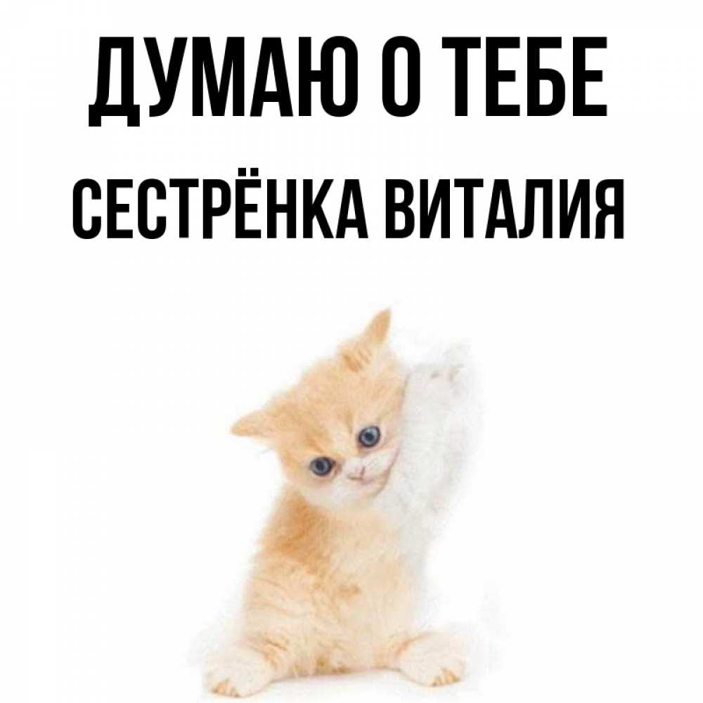 Открытка на каждый день с именем, Сестрёнка-Виталия Думаю о тебе зверушки и милота Прикольная открытка с пожеланием онлайн скачать бесплатно 
