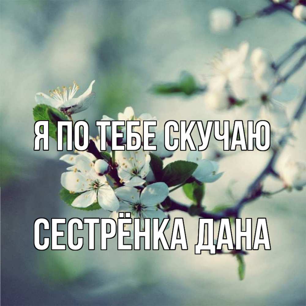 Открытка на каждый день с именем, Сестрёнка-Дана Я по тебе скучаю весна Прикольная открытка с пожеланием онлайн скачать бесплатно 