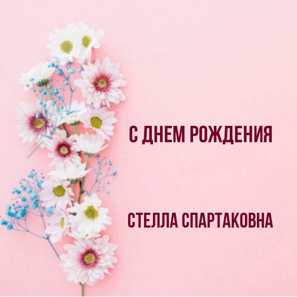 С Днем Рождения Стелла Картинки