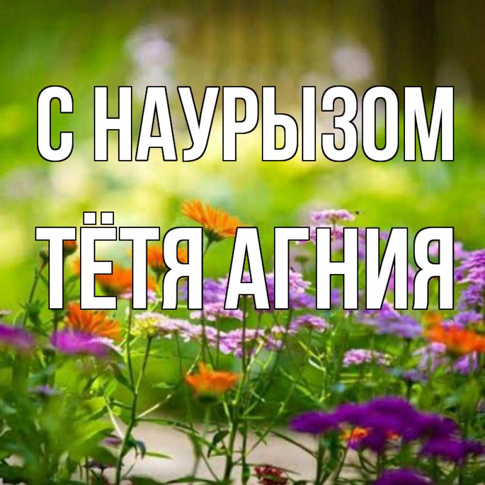 Открытка на каждый день с именем, Тётя-Агния С наурызом цветы Прикольная открытка с пожеланием онлайн скачать бесплатно 