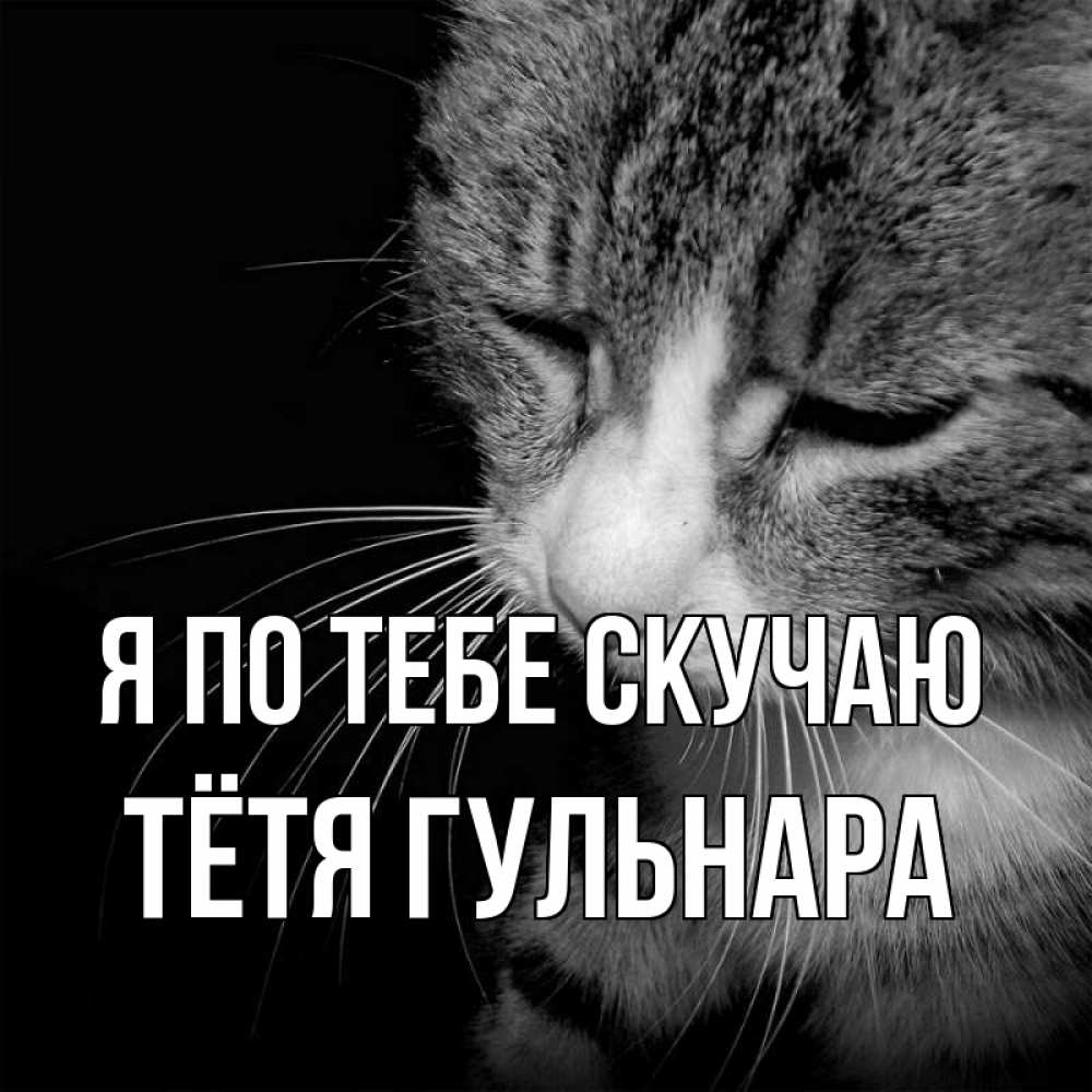 Открытка на каждый день с именем, Тётя-Гульнара Я по тебе скучаю мне скучно Прикольная открытка с пожеланием онлайн скачать бесплатно 