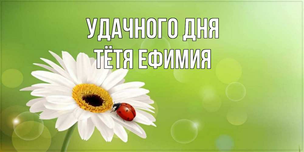 Открытка на каждый день с именем, Тётя-Ефимия Удачного дня зеленый фон и ромашка Прикольная открытка с пожеланием онлайн скачать бесплатно 