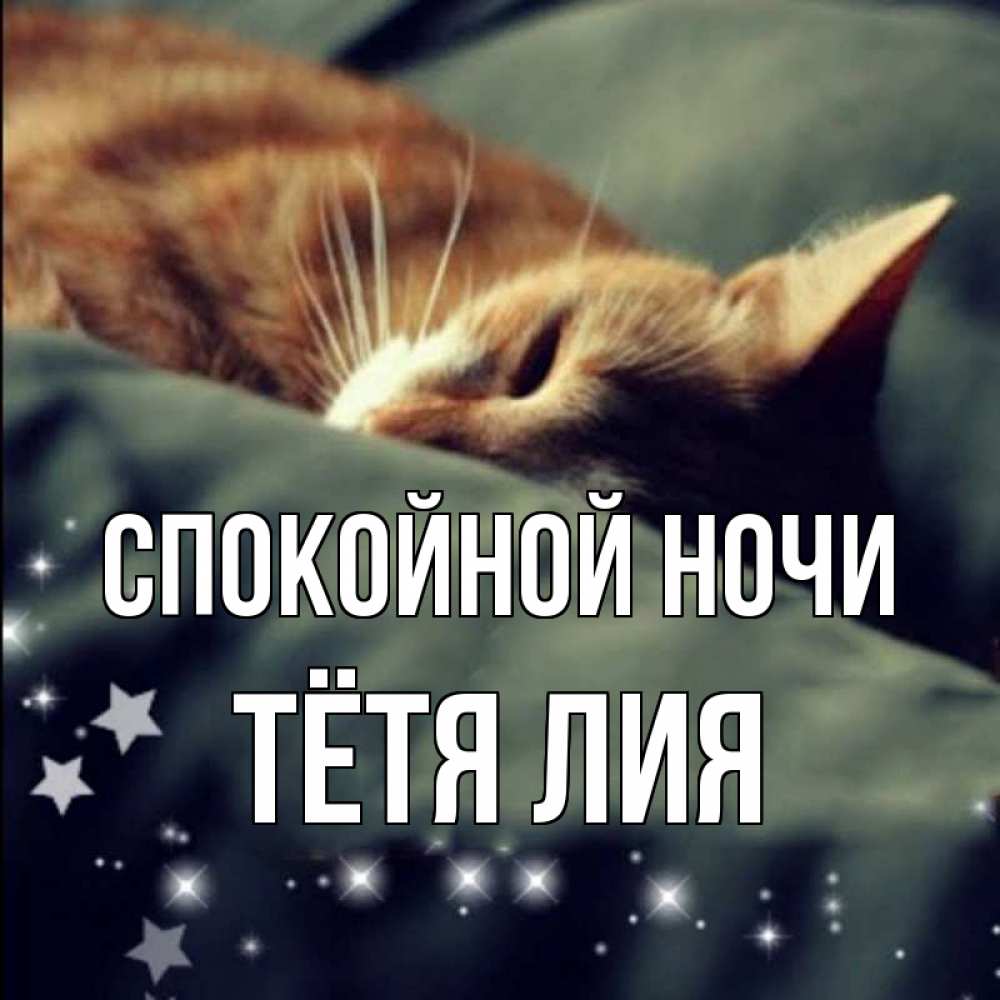 Открытка на каждый день с именем, Тётя-Лия Спокойной ночи кроватка Прикольная открытка с пожеланием онлайн скачать бесплатно 
