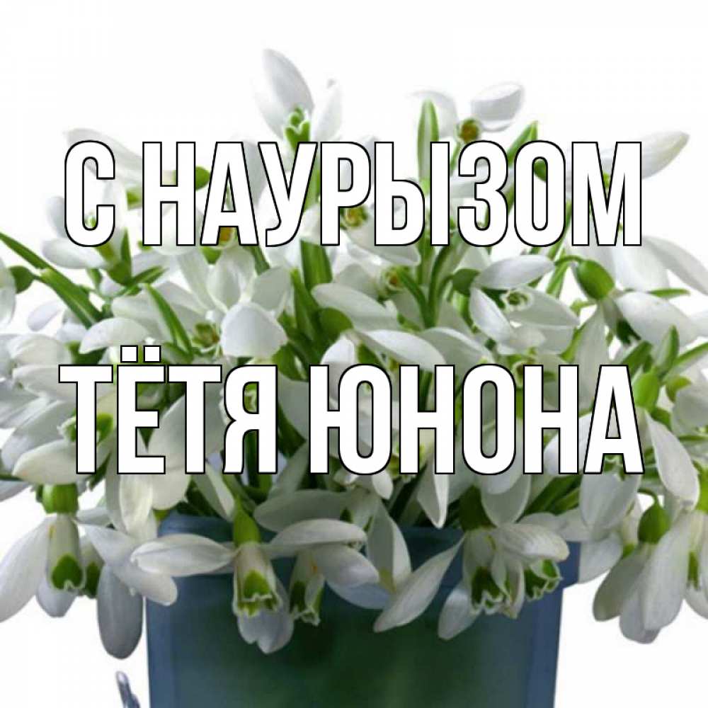 Открытка на каждый день с именем, Тётя-Юнона С наурызом цветы к наурызу новый год в Казахстане Прикольная открытка с пожеланием онлайн скачать бесплатно 