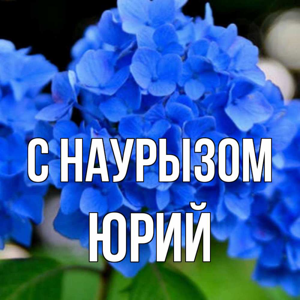 Открытка на каждый день с именем, Юрий С наурызом синие цветы Прикольная открытка с пожеланием онлайн скачать бесплатно 