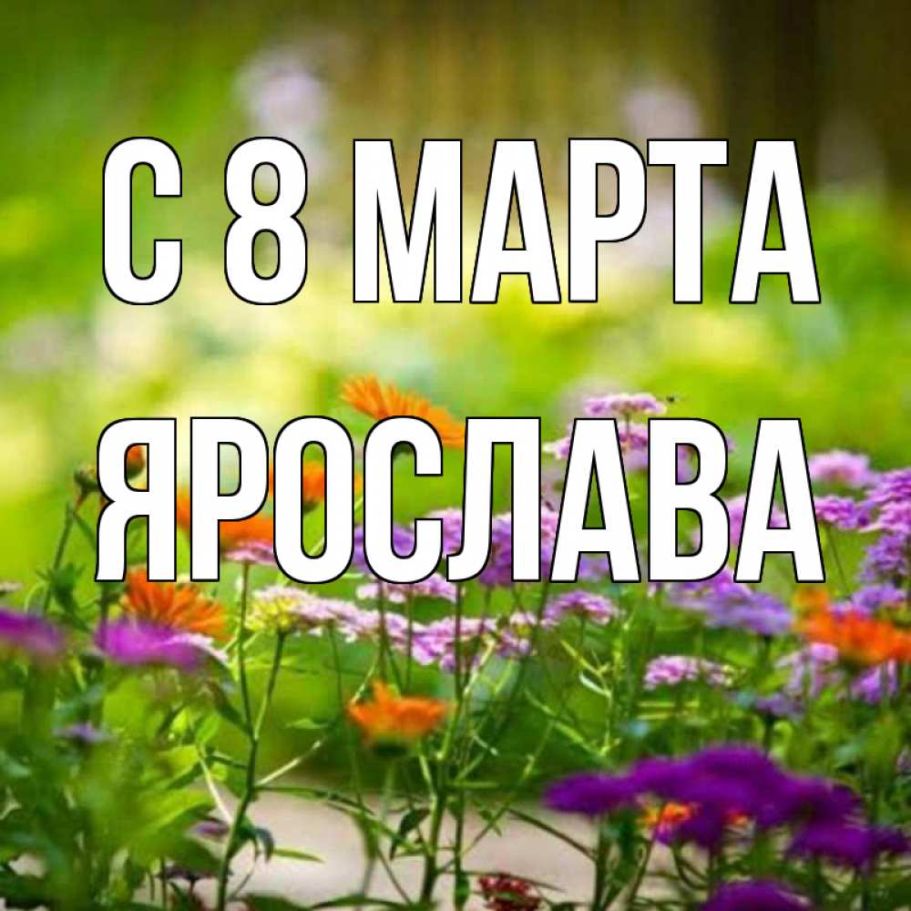 Открытка на каждый день с именем, Ярослава С 8 МАРТА цветы Прикольная открытка с пожеланием онлайн скачать бесплатно 