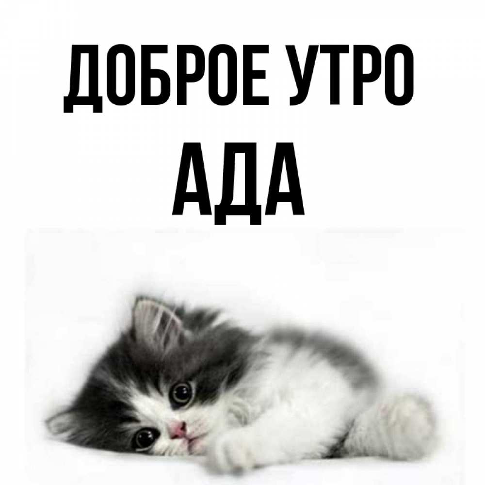 Открытка на каждый день с именем, Ада Доброе утро кот лапки Прикольная открытка с пожеланием онлайн скачать бесплатно 