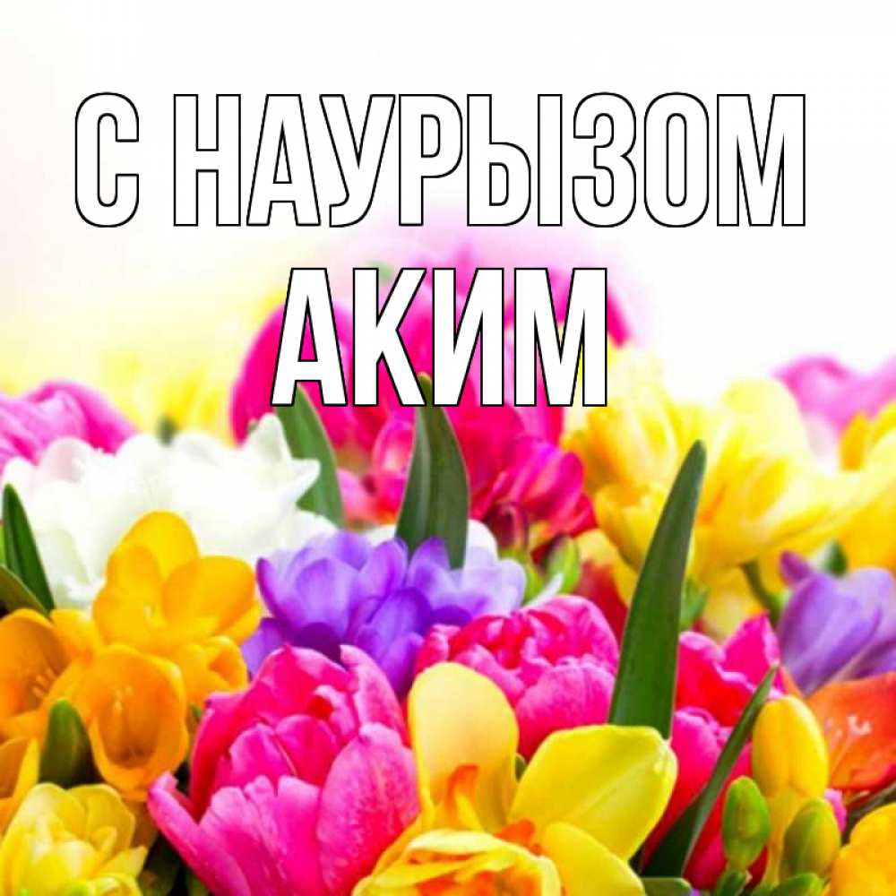 Открытка на каждый день с именем, Аким С наурызом тюльпаны Прикольная открытка с пожеланием онлайн скачать бесплатно 