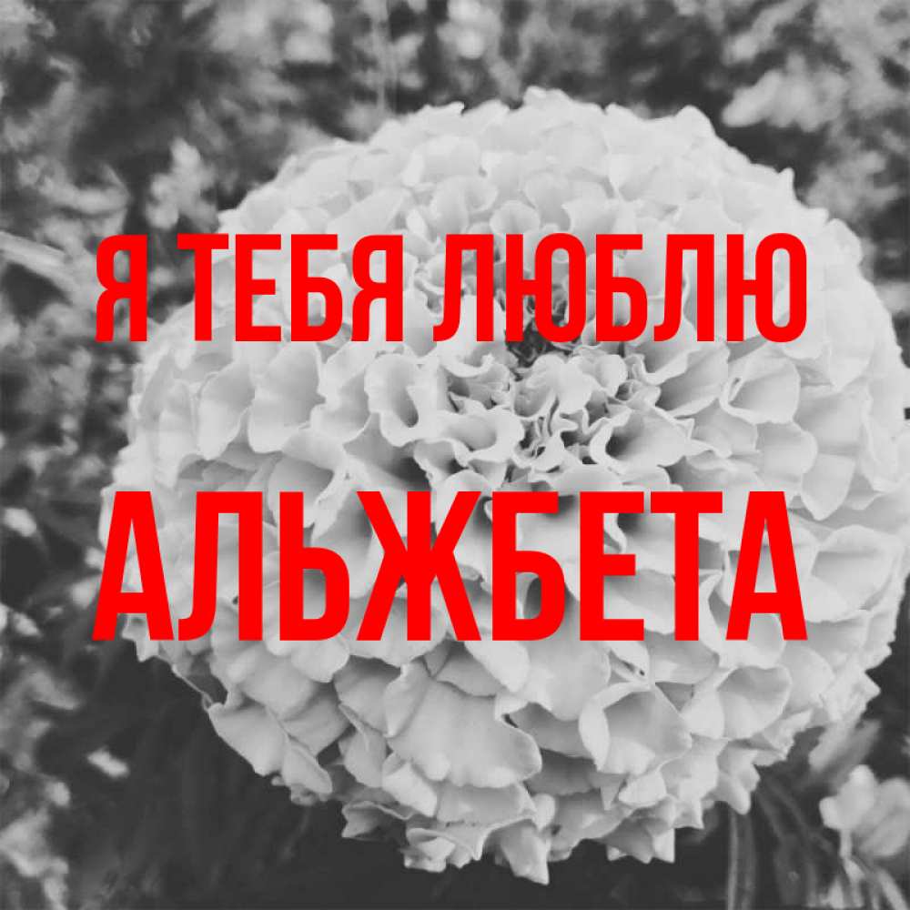 Открытка на каждый день с именем, Альжбета Я тебя люблю подпись Прикольная открытка с пожеланием онлайн скачать бесплатно 
