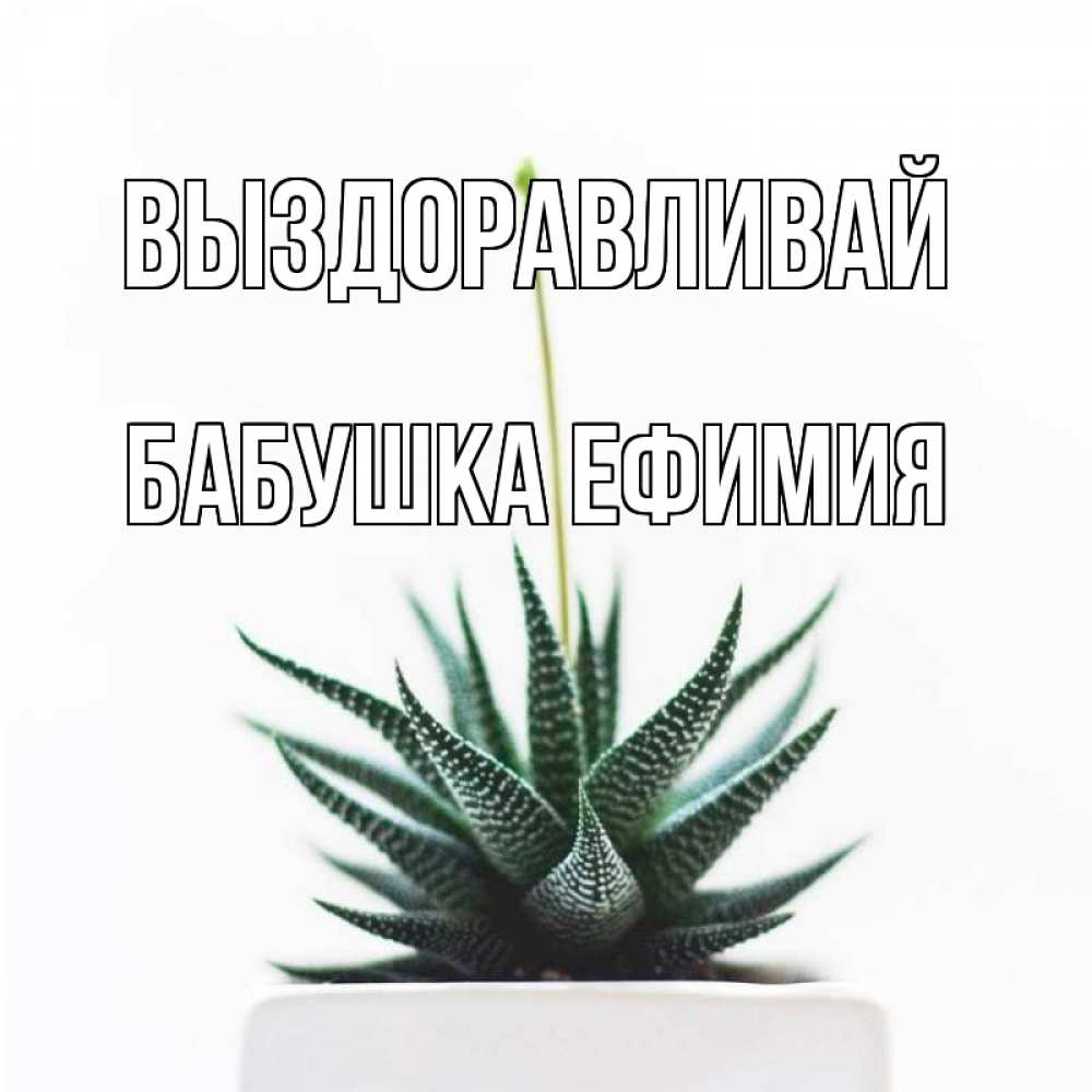 Открытка на каждый день с именем, Бабушка-Ефимия Выздоравливай короче это непонятная колючка Прикольная открытка с пожеланием онлайн скачать бесплатно 