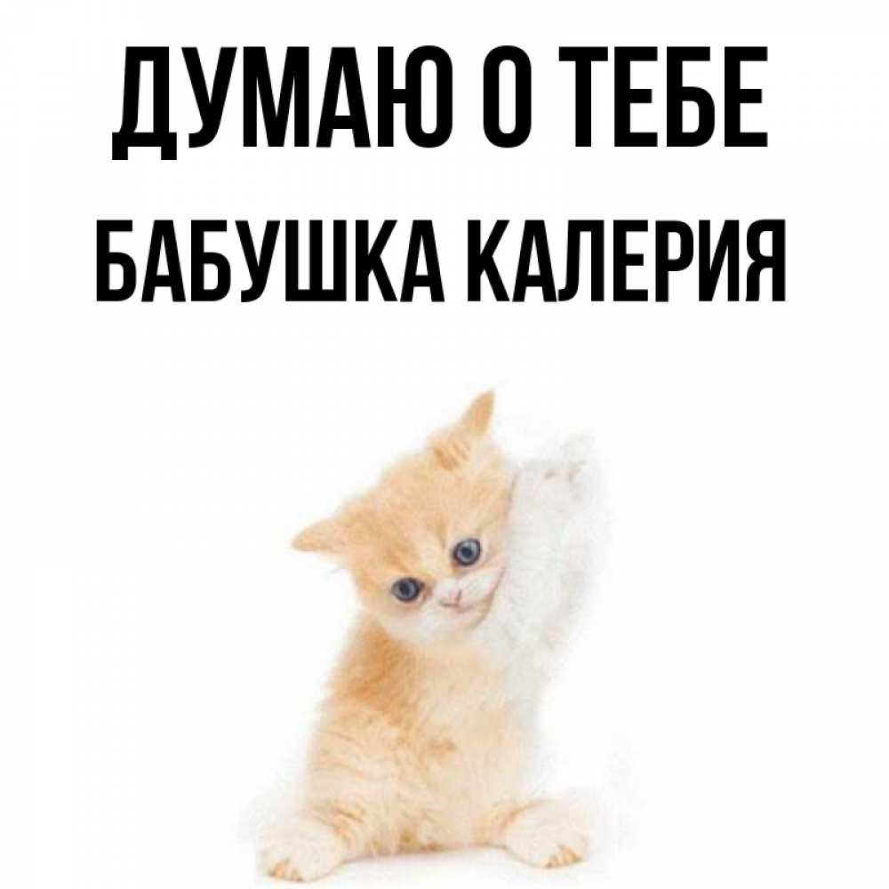 Открытка на каждый день с именем, Бабушка-Калерия Думаю о тебе зверушки и милота Прикольная открытка с пожеланием онлайн скачать бесплатно 