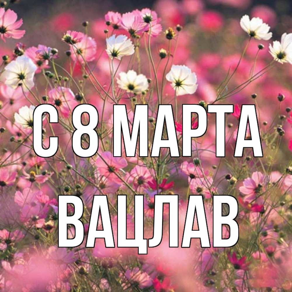 Открытка на каждый день с именем, Вацлав С 8 МАРТА красиво 1 Прикольная открытка с пожеланием онлайн скачать бесплатно 