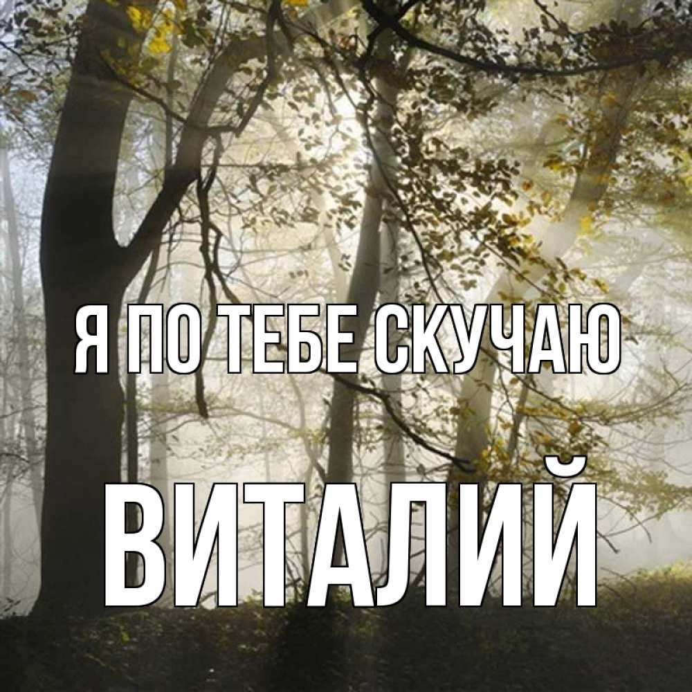 Открытка на каждый день с именем, Виталий Я по тебе скучаю грустно Прикольная открытка с пожеланием онлайн скачать бесплатно 