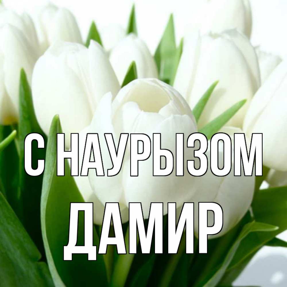 Открытка на каждый день с именем, Дамир С наурызом цветы Прикольная открытка с пожеланием онлайн скачать бесплатно 