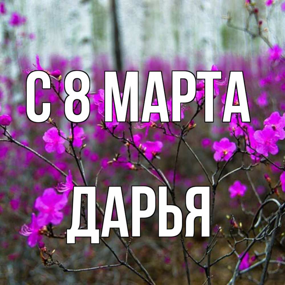 Открытка на каждый день с именем, Дарья С 8 МАРТА дикие цветы Прикольная открытка с пожеланием онлайн скачать бесплатно 