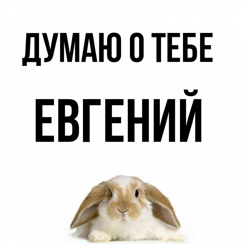 Открытка на каждый день с именем, Евгений Думаю о тебе подписать своими руками онлайн Прикольная открытка с пожеланием онлайн скачать бесплатно 