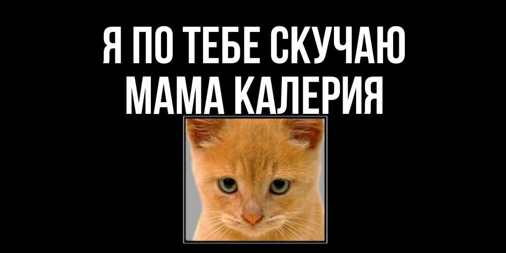 Открытка на каждый день с именем, Мама-Калерия Я по тебе скучаю открытки рыжий котенок скучает по тебе Прикольная открытка с пожеланием онлайн скачать бесплатно 
