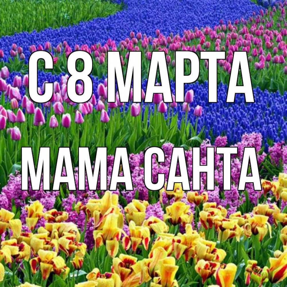 Открытка на каждый день с именем, Мама-Санта С 8 МАРТА цветы Прикольная открытка с пожеланием онлайн скачать бесплатно 