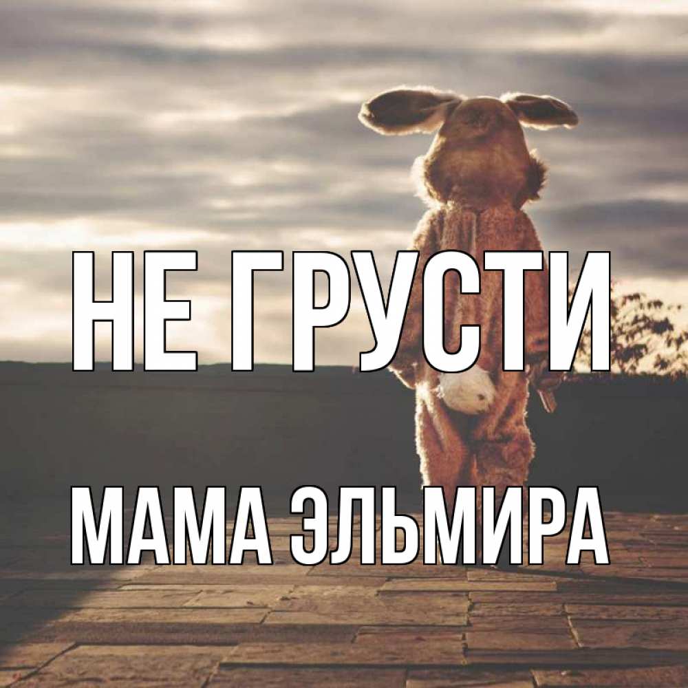Открытка на каждый день с именем, Мама-Эльмира Не грусти со спины Прикольная открытка с пожеланием онлайн скачать бесплатно 