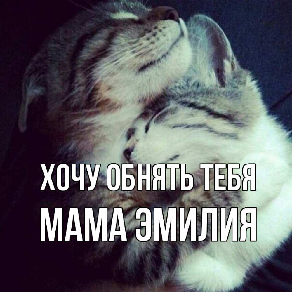Открытка на каждый день с именем, Мама-Эмилия Хочу обнять тебя полосатики Прикольная открытка с пожеланием онлайн скачать бесплатно 