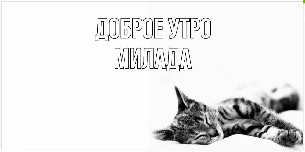 Открытка на каждый день с именем, Милада Доброе утро котуся Прикольная открытка с пожеланием онлайн скачать бесплатно 