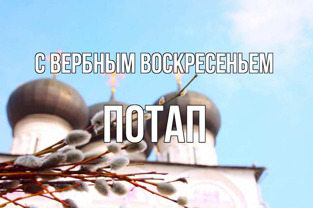 Открытка на каждый день с именем, Потап С вербным воскресеньем верба Прикольная открытка с пожеланием онлайн скачать бесплатно 