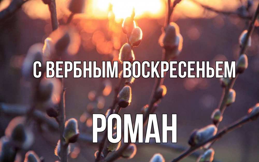 Открытка на каждый день с именем, Роман С вербным воскресеньем верба Прикольная открытка с пожеланием онлайн скачать бесплатно 