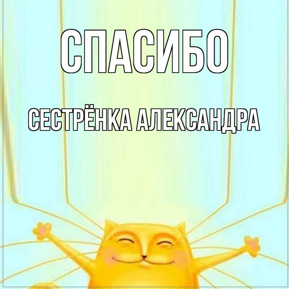 Открытка на каждый день с именем, Сестрёнка-Александра Спасибо кот с усами благодарит Прикольная открытка с пожеланием онлайн скачать бесплатно 