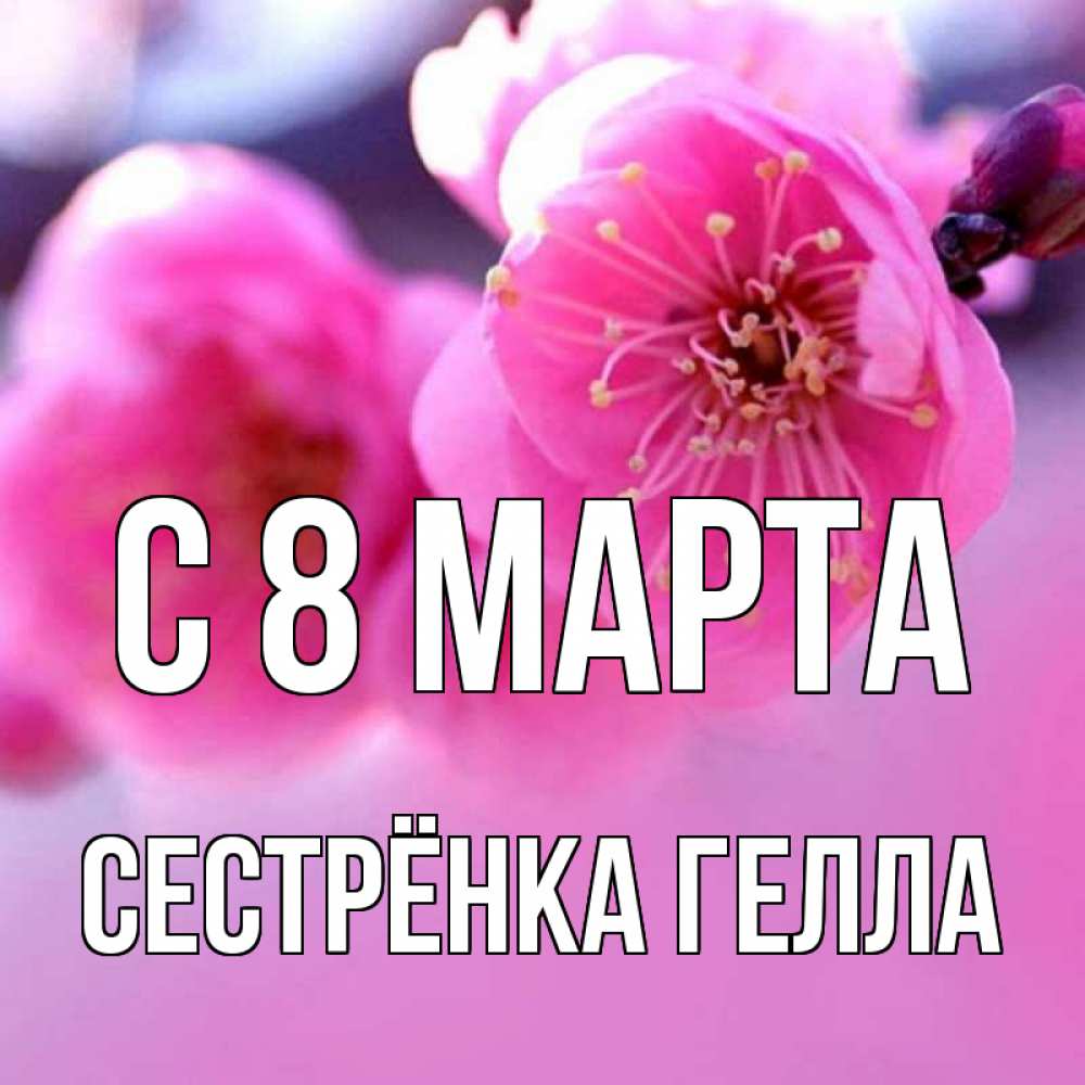 Открытка на каждый день с именем, Сестрёнка-Гелла С 8 марта международный женский день Прикольная открытка с пожеланием онлайн скачать бесплатно 