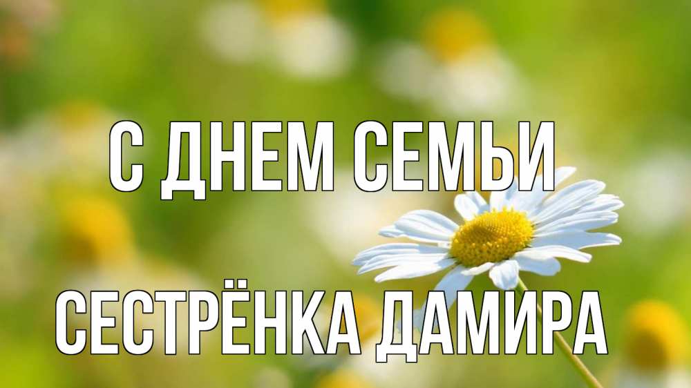 Открытка на каждый день с именем, Сестрёнка-Дамира С днем семьи с днем семьи  1 Прикольная открытка с пожеланием онлайн скачать бесплатно 