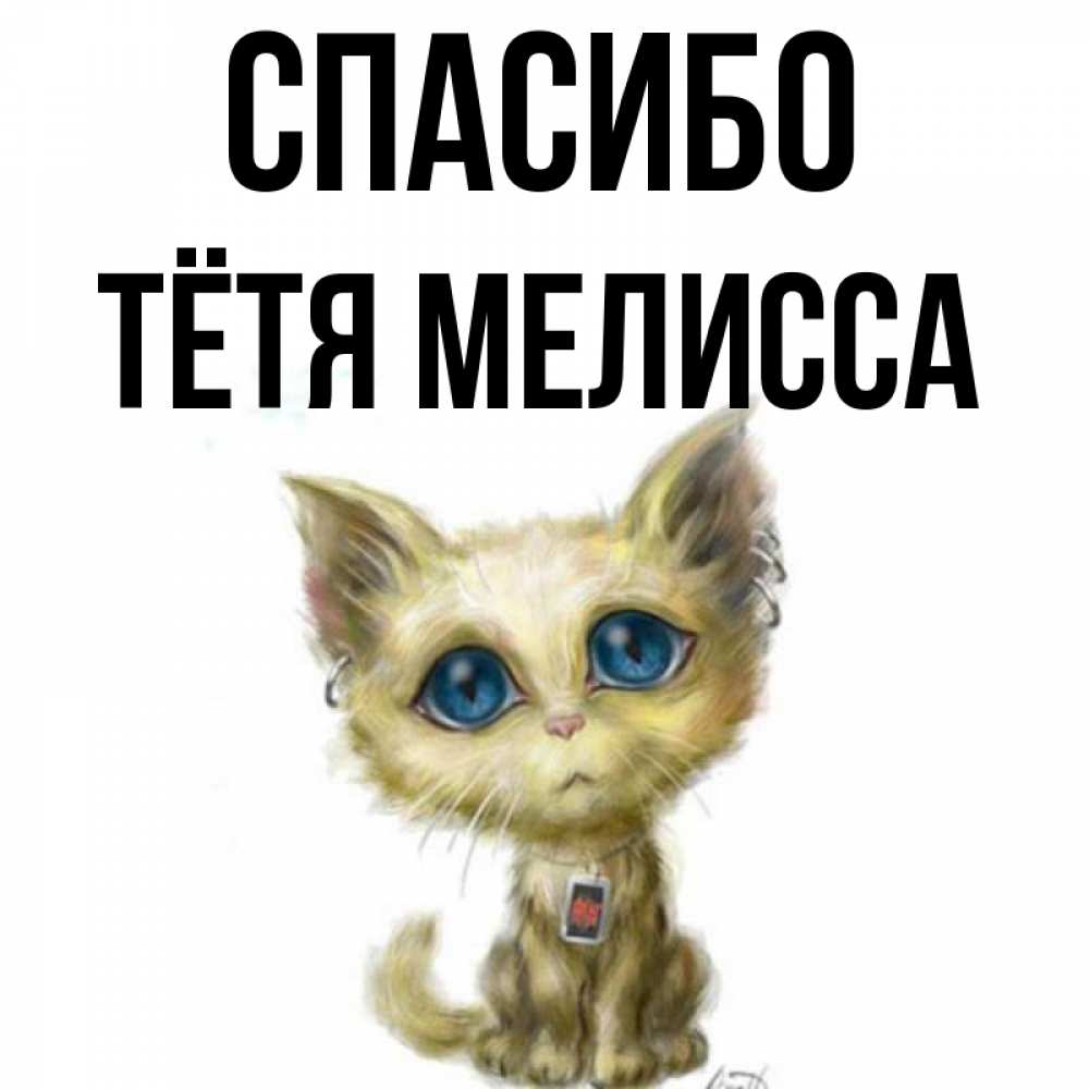 Открытка на каждый день с именем, Тётя-Мелисса Спасибо рисованный кот благодарит вас Прикольная открытка с пожеланием онлайн скачать бесплатно 