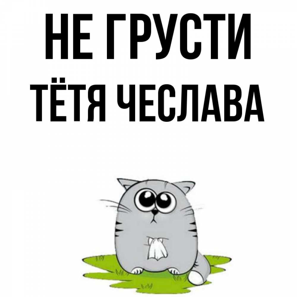 Открытка на каждый день с именем, Тётя-Чеслава Не грусти грустный котяра Прикольная открытка с пожеланием онлайн скачать бесплатно 