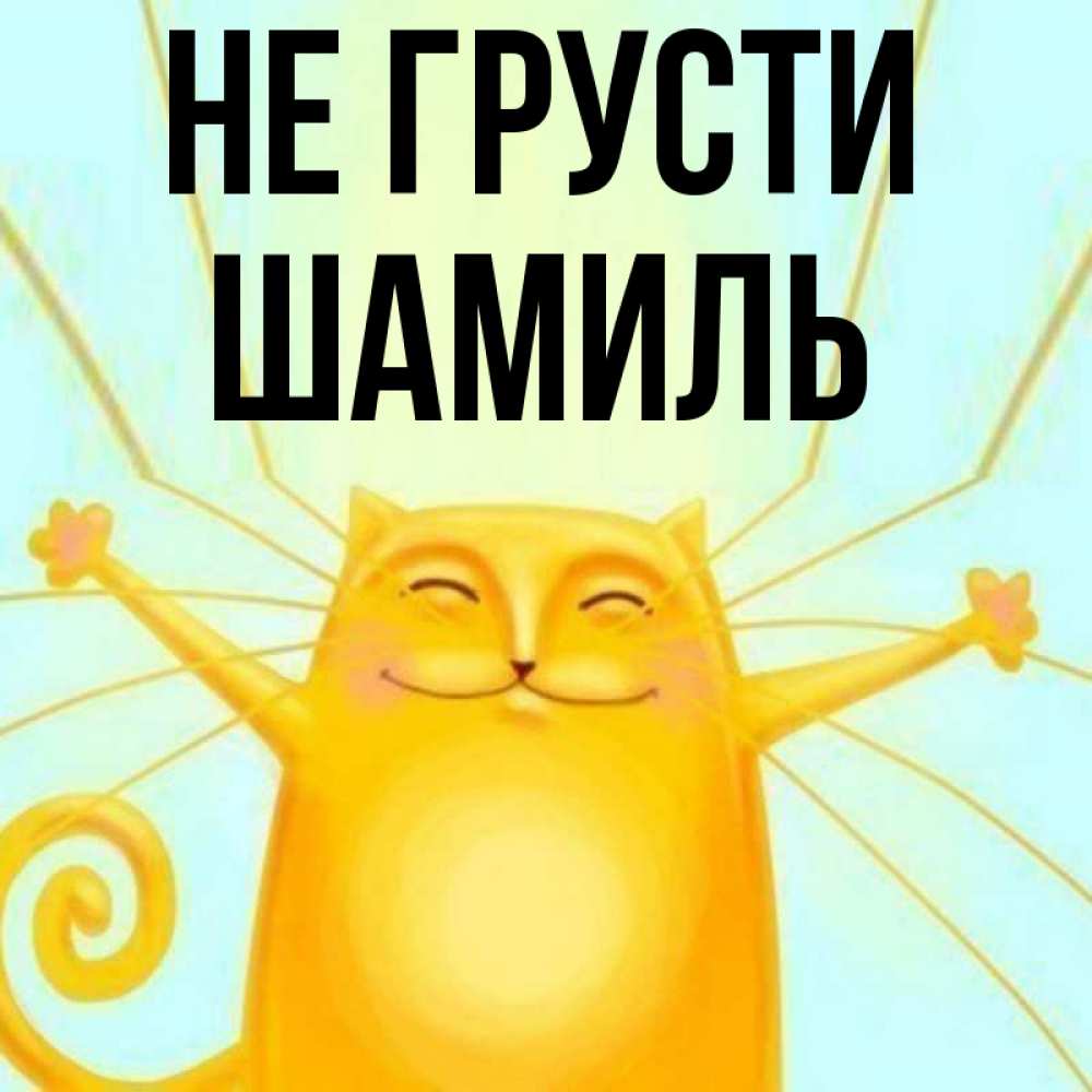 Открытка на каждый день с именем, Шамиль Не грусти обнимашки усатые Прикольная открытка с пожеланием онлайн скачать бесплатно 