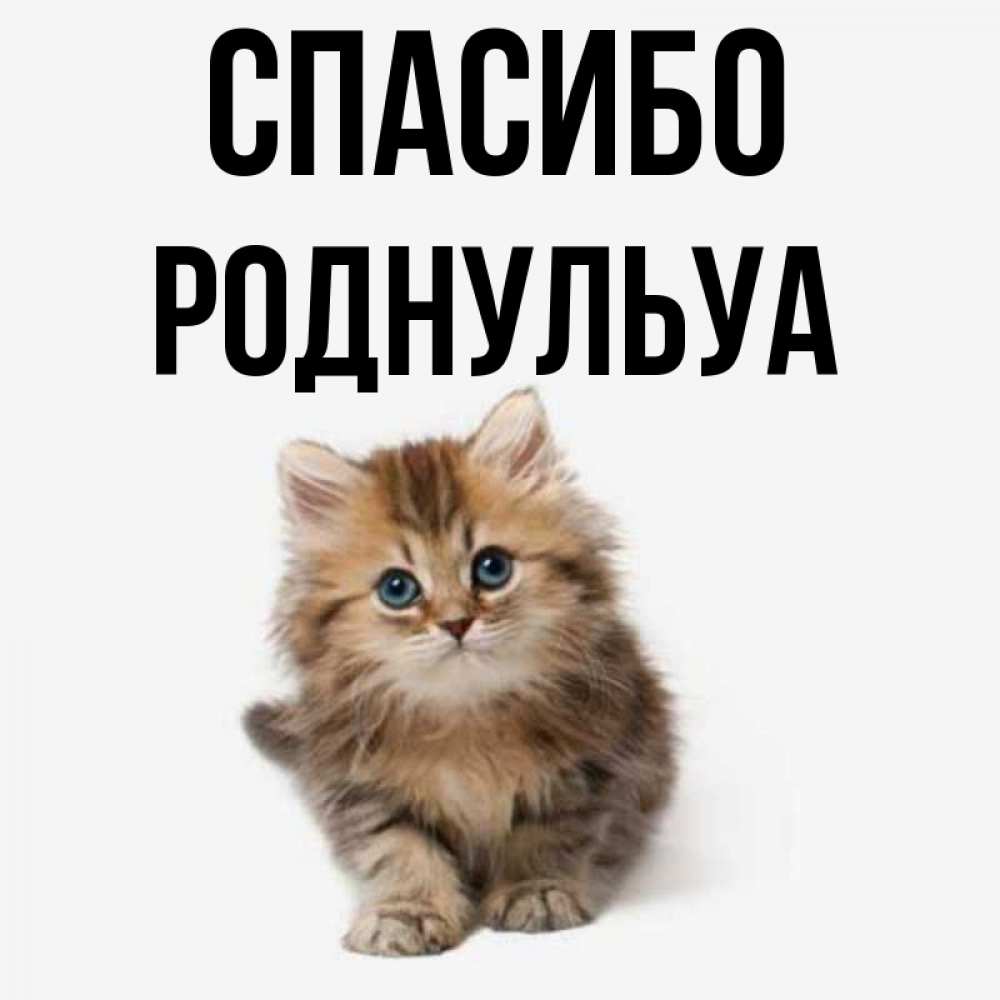 Роднулька. Спасибо роднулька. Спасибо роднулька открытки. Спасибо моя роднулька. Спасибо роднулька моя картинки.