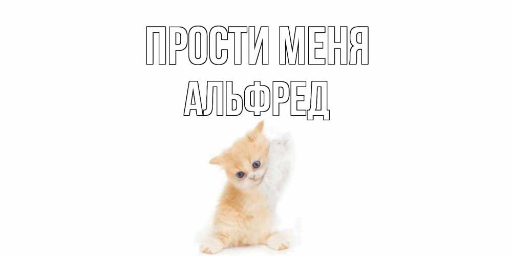 Открытка на каждый день с именем, Альфред Прости меня кот Прикольная открытка с пожеланием онлайн скачать бесплатно 