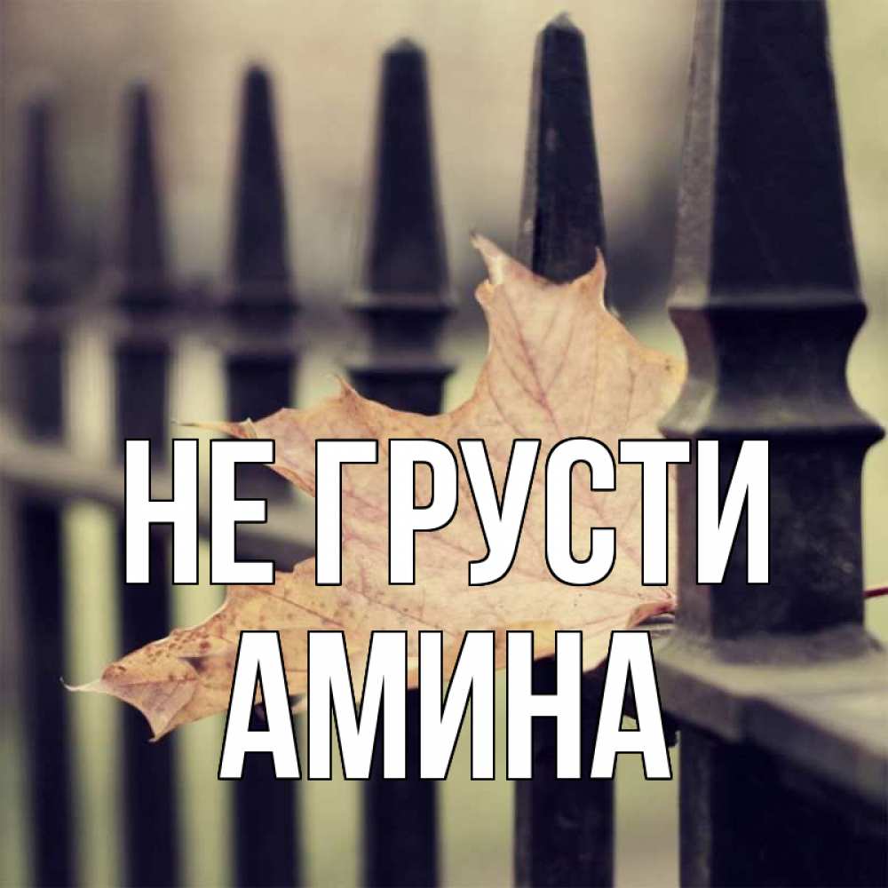 Открытка на каждый день с именем, Амина Не грусти лист клена Прикольная открытка с пожеланием онлайн скачать бесплатно 