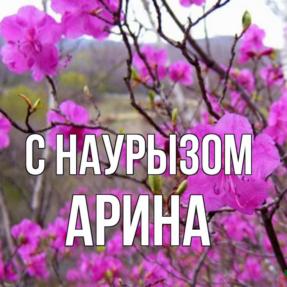 Открытка на каждый день с именем, Арина С наурызом праздник весны наурыз Прикольная открытка с пожеланием онлайн скачать бесплатно 