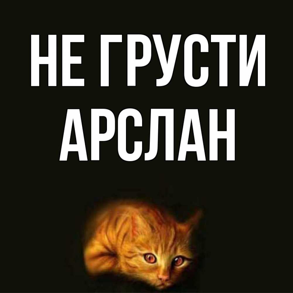 Открытка на каждый день с именем, Арслан Не грусти лежащий кот в темноте Прикольная открытка с пожеланием онлайн скачать бесплатно 