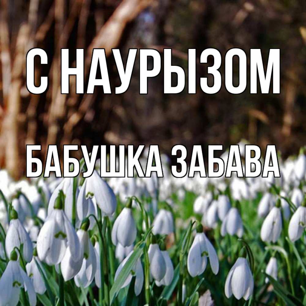Открытка на каждый день с именем, Бабушка-Забава С наурызом с подснежниками 1 Прикольная открытка с пожеланием онлайн скачать бесплатно 