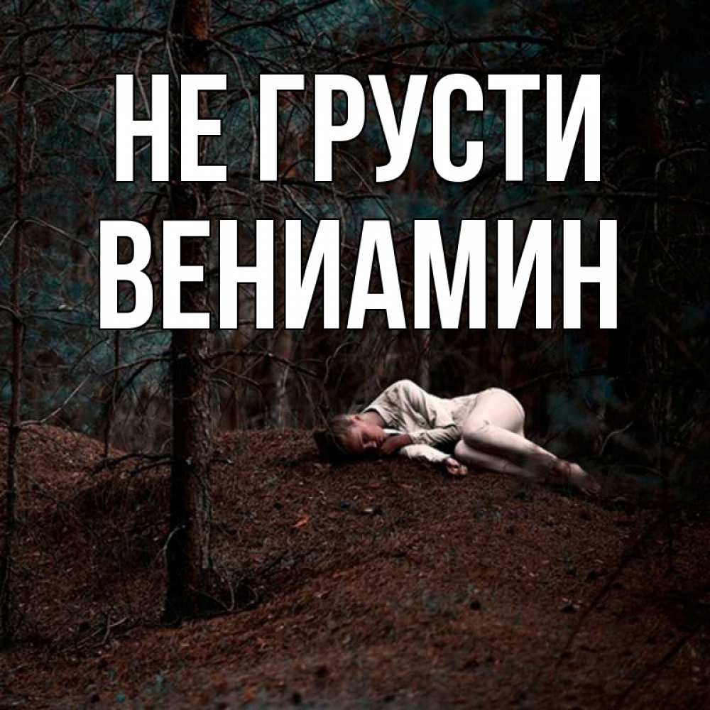 Открытка на каждый день с именем, Вениамин Не грусти лес Прикольная открытка с пожеланием онлайн скачать бесплатно 