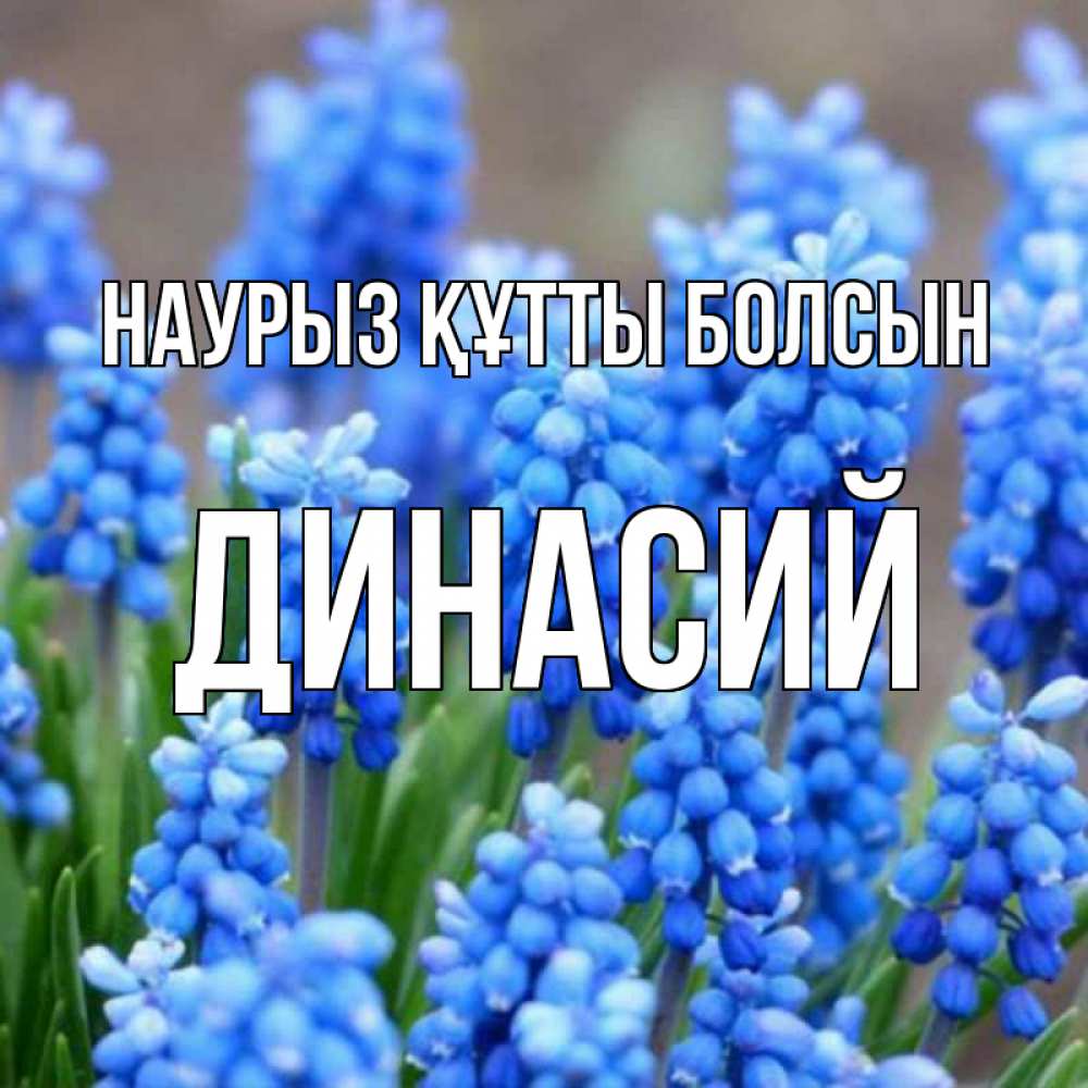 Открытка на каждый день с именем, Динасий Наурыз құтты болсын Поздравительная открытка для женщин с цветами на праздничную дату Прикольная открытка с пожеланием онлайн скачать бесплатно 