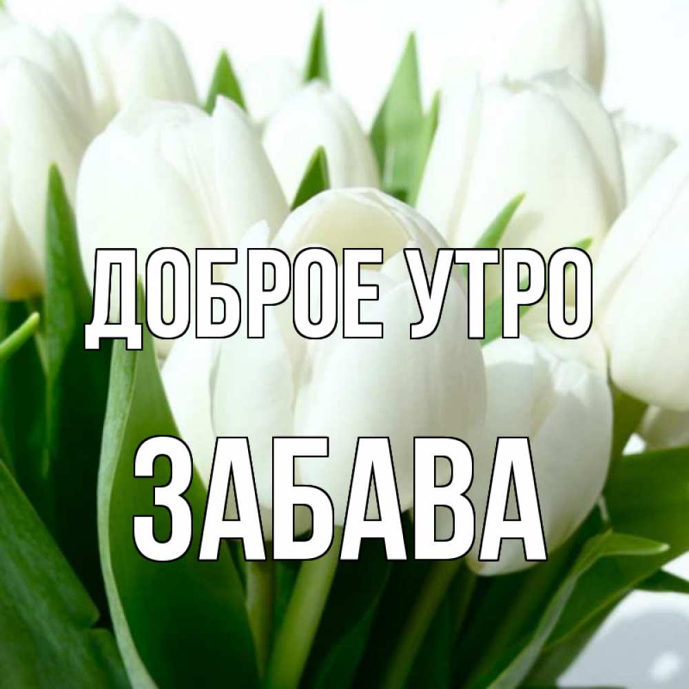 Открытка на каждый день с именем, Забава Доброе утро открытки на каждый день по именам Прикольная открытка с пожеланием онлайн скачать бесплатно 