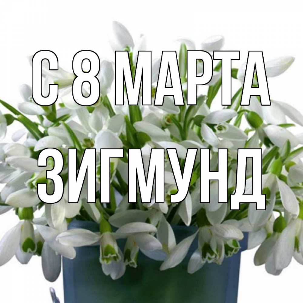Открытка на каждый день с именем, Зигмунд С 8 МАРТА цветы к международному женскому дню Прикольная открытка с пожеланием онлайн скачать бесплатно 
