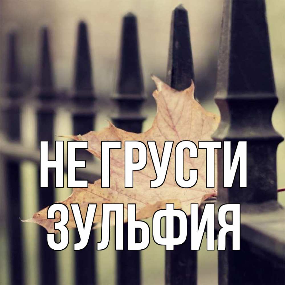 Открытка на каждый день с именем, Зульфия Не грусти лист клена Прикольная открытка с пожеланием онлайн скачать бесплатно 