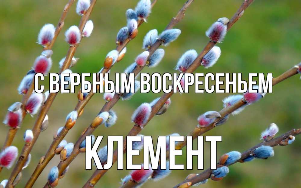 Открытка на каждый день с именем, Клемент С вербным воскресеньем верба Прикольная открытка с пожеланием онлайн скачать бесплатно 
