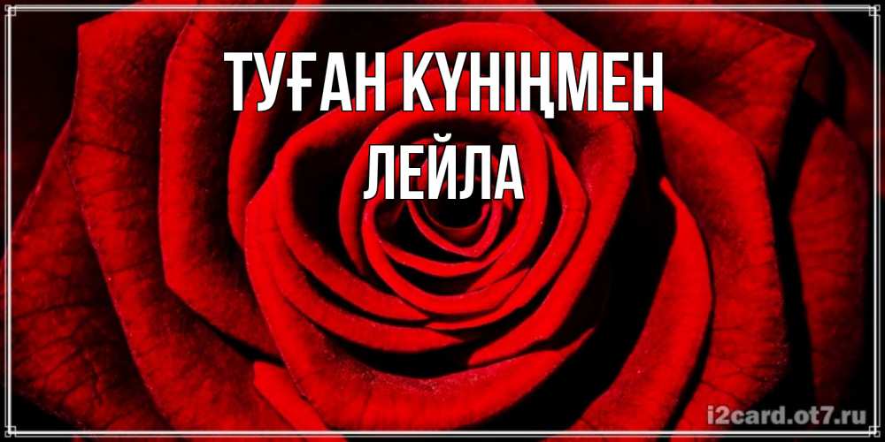 Открытка на каждый день с именем, Лейла Туған күніңмен алая роза Прикольная открытка с пожеланием онлайн скачать бесплатно 