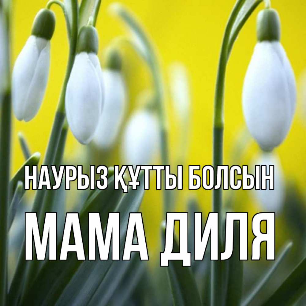 Открытка на каждый день с именем, Мама-Диля Наурыз құтты болсын весенние цветы Прикольная открытка с пожеланием онлайн скачать бесплатно 