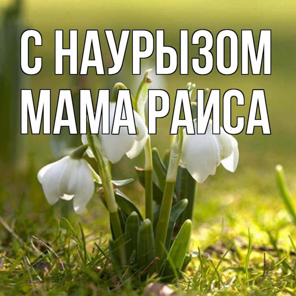 Открытка на каждый день с именем, Мама-Раиса С наурызом ранние цветы 2 Прикольная открытка с пожеланием онлайн скачать бесплатно 
